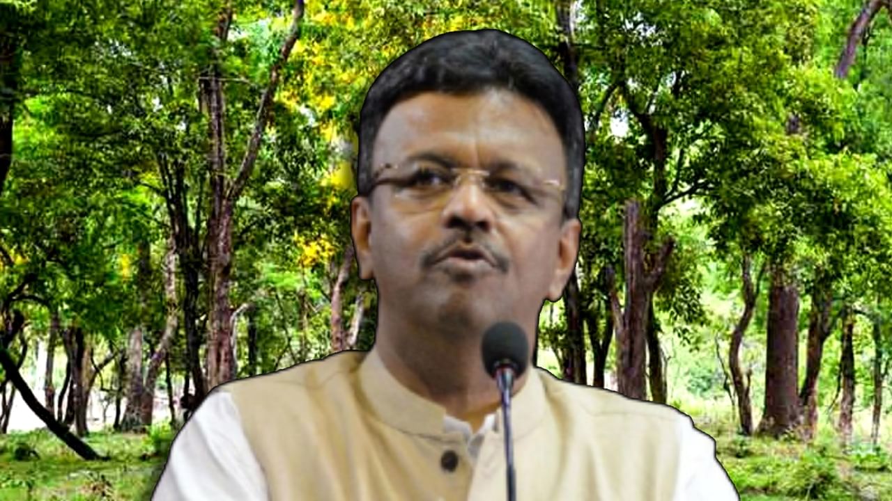 Kolkata Mayor Firhad Hakim: দ্রুত কলকাতার সব গাছের স্বাস্থ্য অডিট! আচমকা কেন এই নির্দেশ ফিরহাদের? Kolkata Mayor Firhad Hakim: দ্রুত কলকাতার সব গাছের স্বাস্থ্য অডিট! আচমকা কেন এই নির্দেশ ফিরহাদের?