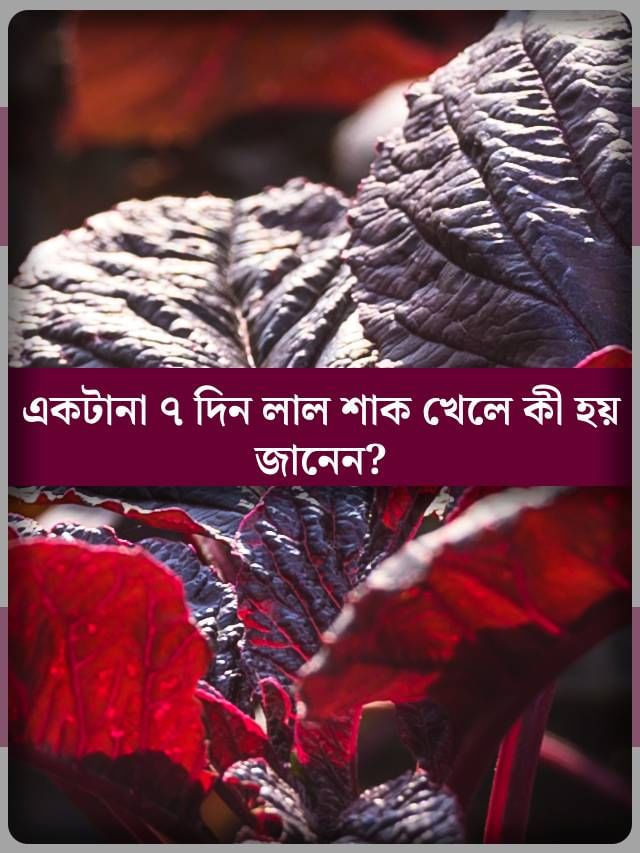 টানা ৭ দিন লাল শাক খান, তফাৎ নিজের চোখে দেখুন টানা ৭ দিন লাল শাক খান, তফাৎ নিজের চোখে দেখুন