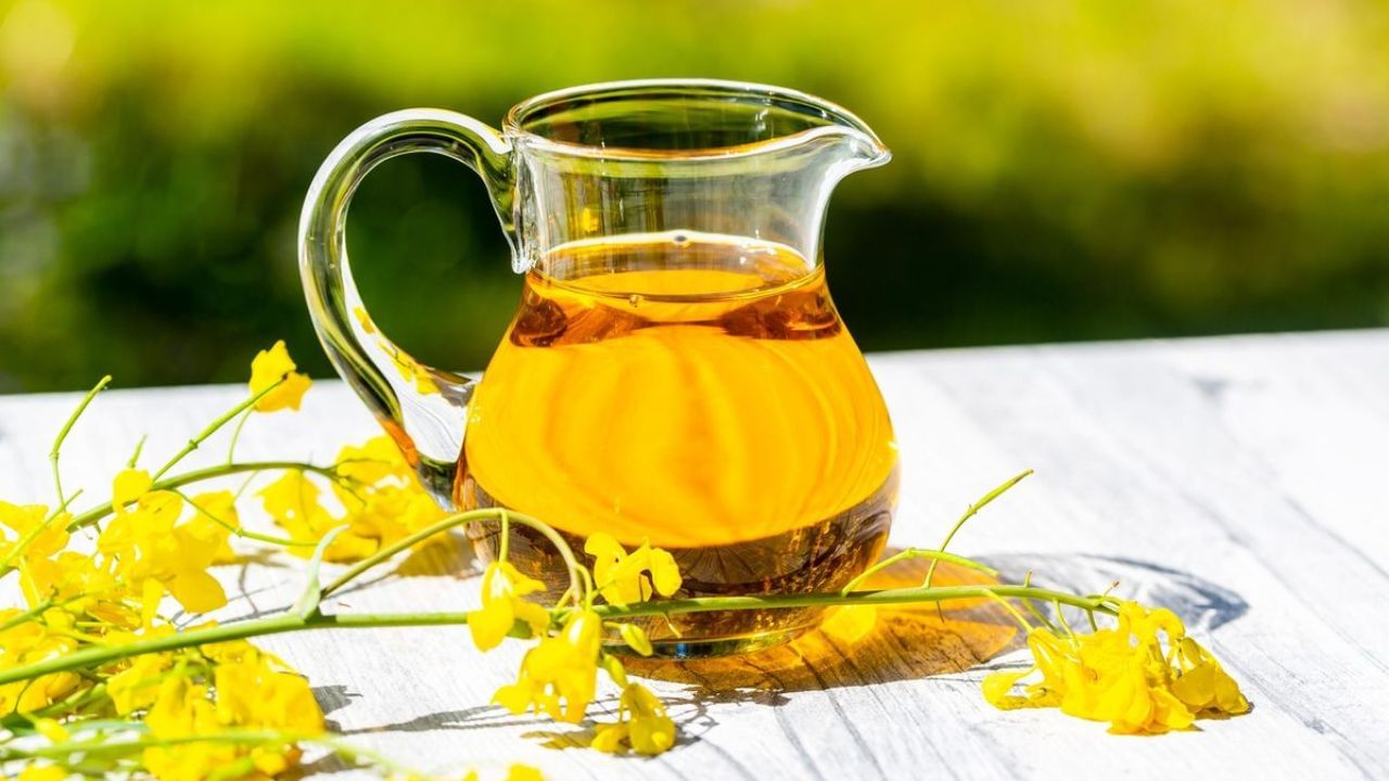 Tips for Hair: টাক মাথা নিয়ে চিন্তায় পড়েছেন? সর্ষের তেলের সঙ্গে এটা মিশিয়ে মাখলেই গজাবে চুল Tips for Hair: টাক মাথা নিয়ে চিন্তায় পড়েছেন? সর্ষের তেলের সঙ্গে এটা মিশিয়ে মাখলেই গজাবে চুল