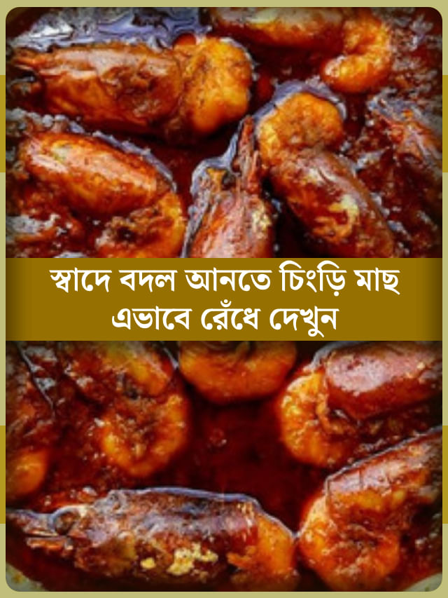 কাতলা-রুই নয়, এবার মাত্র ৫ মিনিটে বানিয়ে ফেলুন চিংড়ি মাছের কালিয়া কাতলা-রুই নয়, এবার মাত্র ৫ মিনিটে বানিয়ে ফেলুন চিংড়ি মাছের কালিয়া