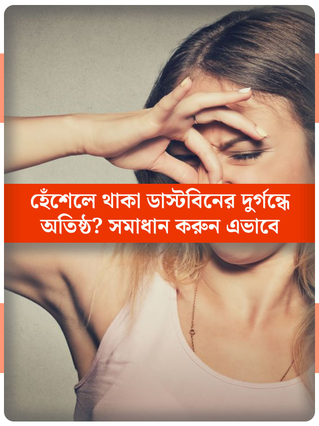 রান্নাঘরের ডাস্টবিন থেকে গন্ধ ছড়াচ্ছে? দূর করুন সহজ উপায়ে রান্নাঘরের ডাস্টবিন থেকে গন্ধ ছড়াচ্ছে? দূর করুন সহজ উপায়ে