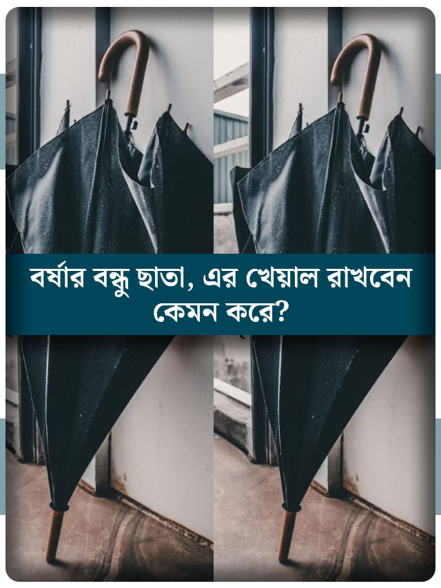 দীর্ঘদিন ছাতা ভালো রাখতে চান? কী কী মেনে চলবেন? দীর্ঘদিন ছাতা ভালো রাখতে চান? কী কী মেনে চলবেন?