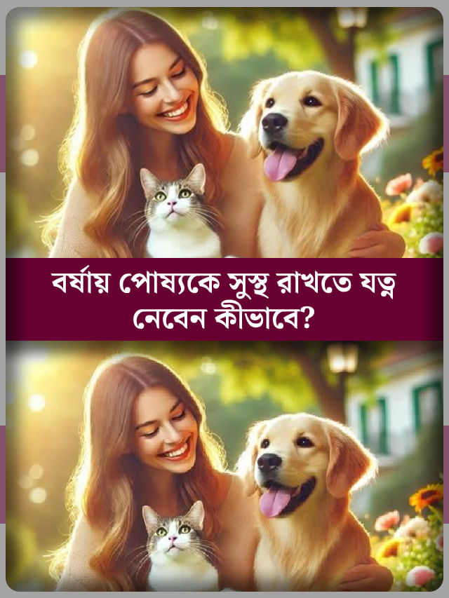 বর্ষাকালে পোষ্যর শরীর খারাপ হওয়া আটকাতে কী করবেন? বর্ষাকালে পোষ্যর শরীর খারাপ হওয়া আটকাতে কী করবেন?