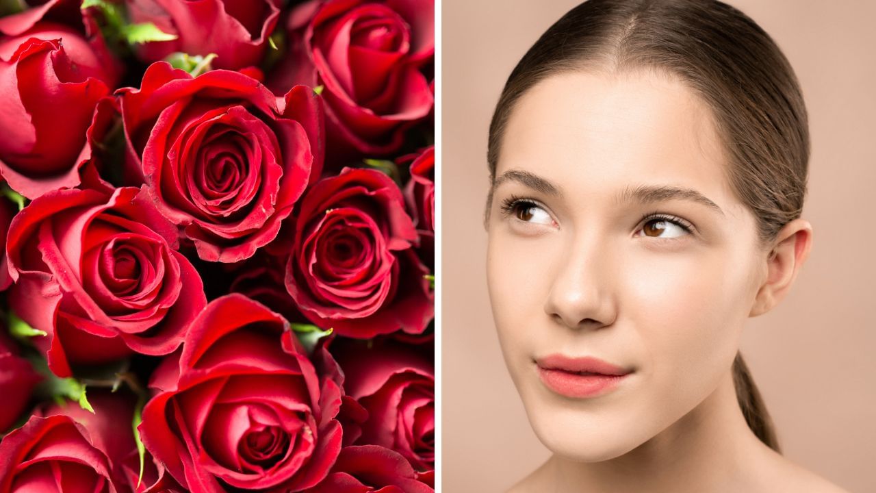 Rose Water for Skin Care: বর্ষাকালে ত্বকের সমস্যা থেকে মুক্তি চান? একটি গোলাপেই হবে সমাধান! Rose Water for Skin Care: বর্ষাকালে ত্বকের সমস্যা থেকে মুক্তি চান? একটি গোলাপেই হবে সমাধান!