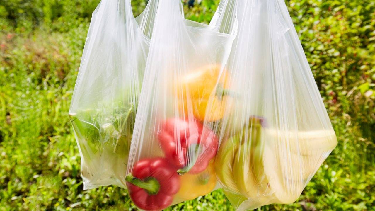 প্লাস্টিকে ভরে ফ্রিজে সবজি রাখেন? এই অভ্যাস আজই ছাড়ুন, নইলে মহাবিপদ হতে পারে!