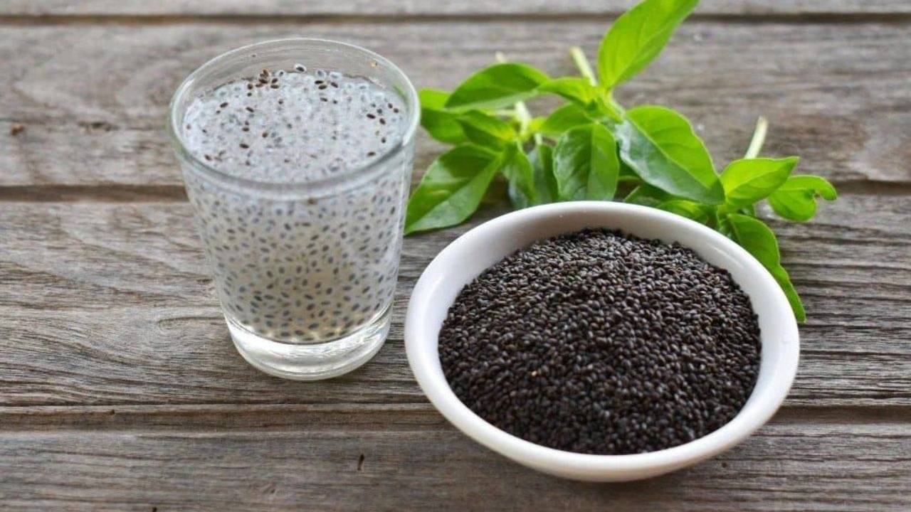 Sabja Seeds: সবজা সিডই যে আসলে তুলসী বীজ, আগে জানতেন? গুণ শুনলে রোজ খাবেন