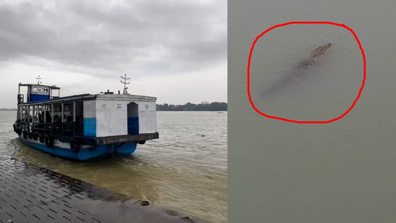 Crocodile Scare: শ্রাবনী মেলায় উপচে পড়ছে ভক্তদের ঢেউ, এরইমধ্যে কুমির আতঙ্ক গঙ্গায়!