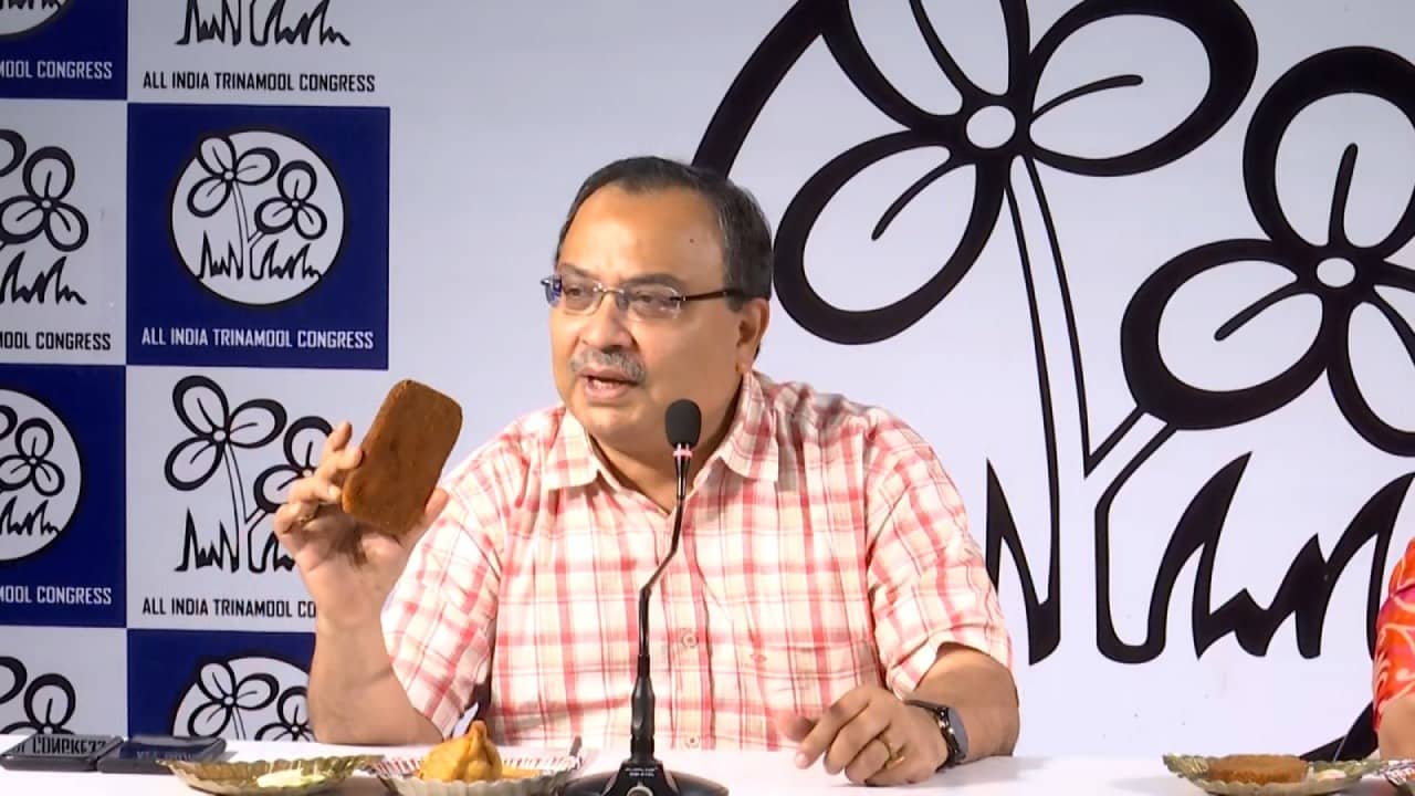 PM Modi: মোদীকে জবাব দিতে সাংবাদিক বৈঠকে কুণালের হাতে ফিশ ফ্রাই, কেন?