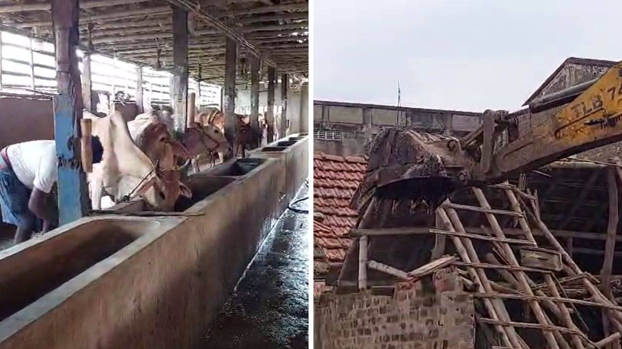 Dankuni: ডানকুনিতে চলল বুলডোজার, কাজ হারাবে ২ লক্ষ মানুষ, বুধবার থেকে রাজ্য জুড়ে দুধ মিলবে তো?