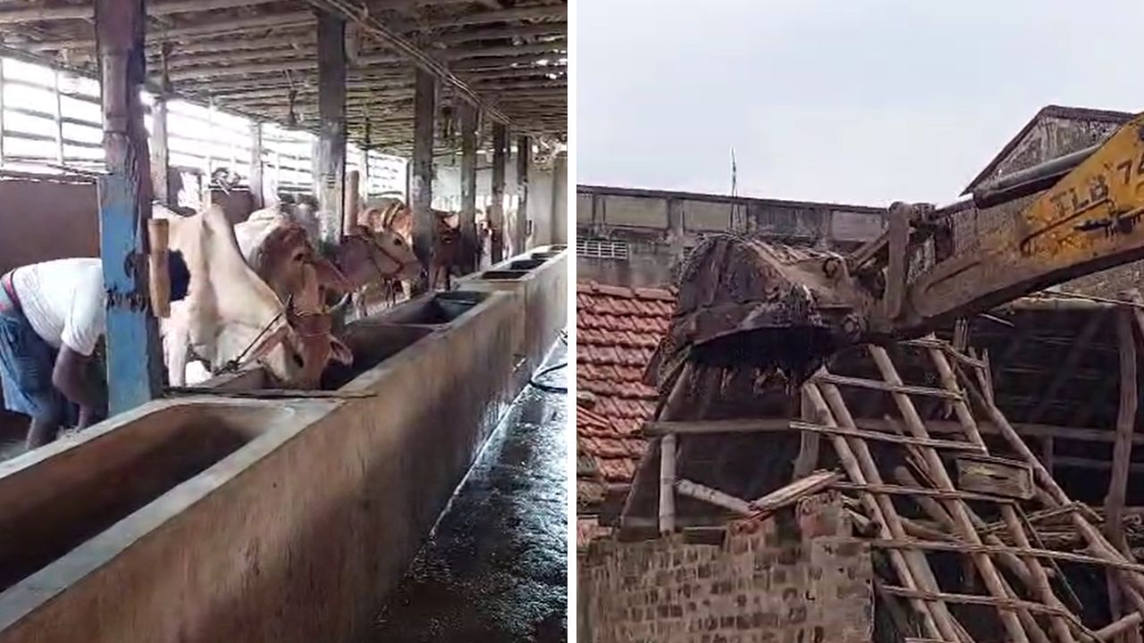 Dankuni: ডানকুনিতে চলল বুলডোজার, কাজ হারাবে ২ লক্ষ মানুষ, বুধবার থেকে রাজ্য জুড়ে দুধ মিলবে তো? Dankuni: ডানকুনিতে চলল বুলডোজার, কাজ হারাবে ২ লক্ষ মানুষ, বুধবার থেকে রাজ্য জুড়ে দুধ মিলবে তো?