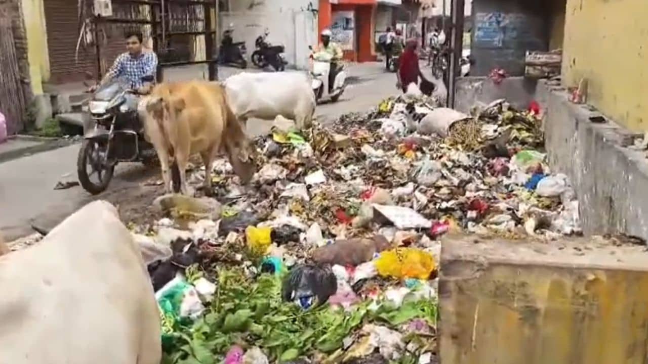 Malda: জঞ্জাল কর না দিলে মিলছে না বার্থ সার্টিফিকেটও! বড় অভিযোগ ইংরেজবাজারে