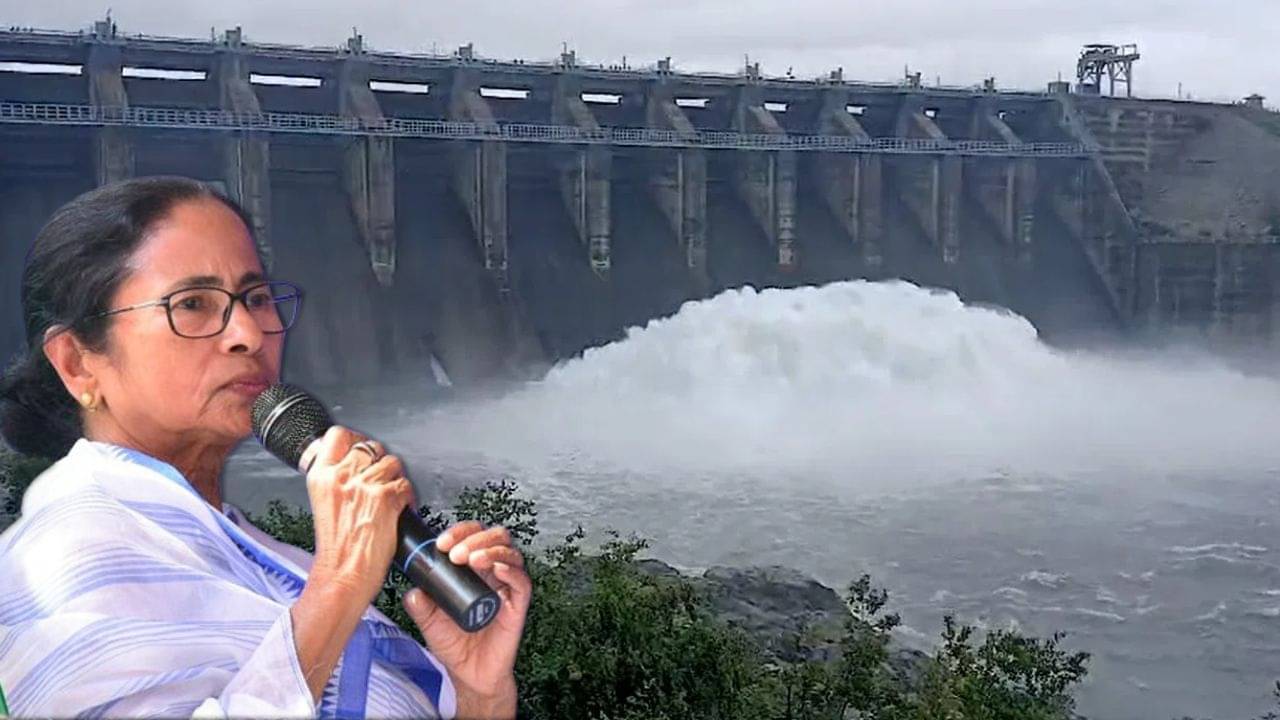 Mamata on DVC: এবার এটাই করব... DVC-কে বেকায়দায় ফেলতে এবার বড় প্ল্যানিং-এর কথা বললেন মমতা