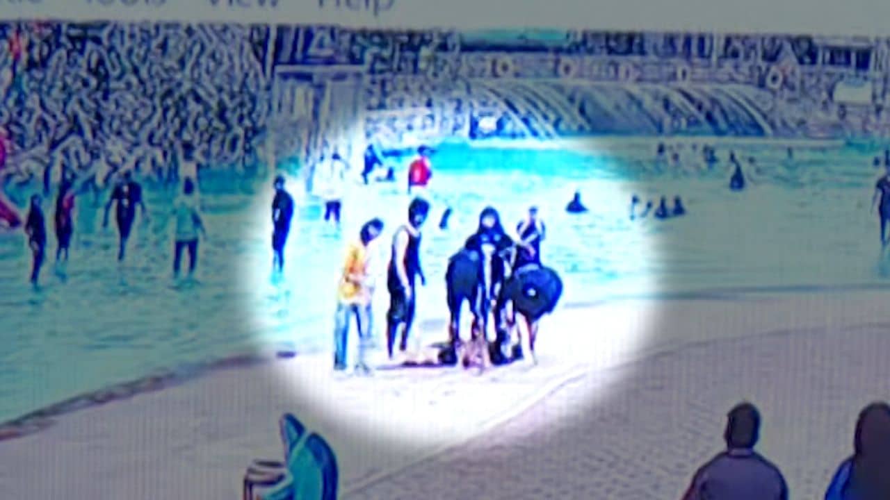 Nicco Park: আমার ছেলে ৫ টাকার ওষুধও খেত না, শুধুমাত্র..., নিক্কো পার্ক-কাণ্ডে বিস্ফোরক অভিযোগ