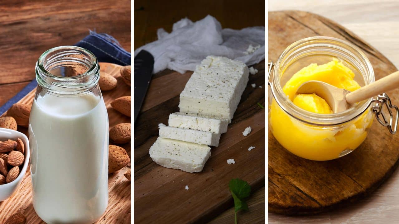 Price Cut: দুধ-পনির থেকে ঘি-মাখন, সরকারের এই সিদ্ধান্তে দাম কমতে পারে একাধিক পণ্যের