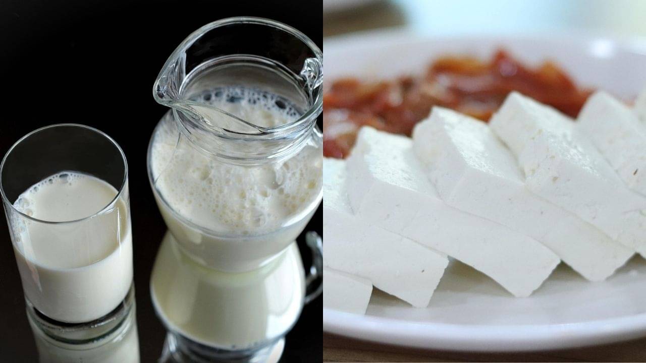 দুধ, দই, পনির কি সস্তা হয়ে যাচ্ছে? GST নিয়ে বিরাট আপডেট