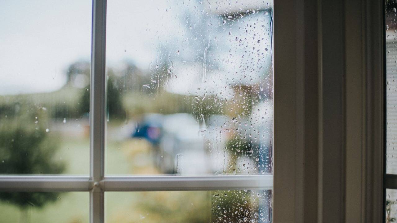 Vaastu Tips: বর্ষাকালেই বাড়ে আপনার ঘরের নেতিবাচক শক্তি! কীভাবে তাকে দমন করবেন?