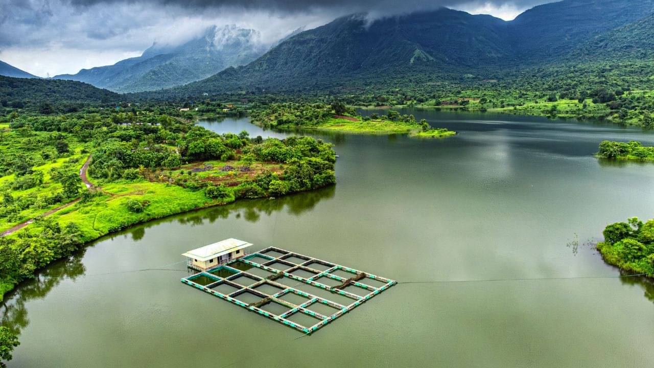 Monsoon Travel Tips: বর্ষায় পাহাড়ে ঘুরতে যাওয়ার প্ল্যান করছেন? কোন নিয়ম না মানলেই হতে পারে বড় বিপদ?