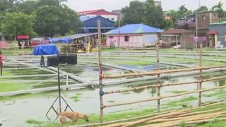 Flood, Nadia School: শিক্ষার এই হাল! ল্যাটা মাছ ধরছে ছাত্ররা