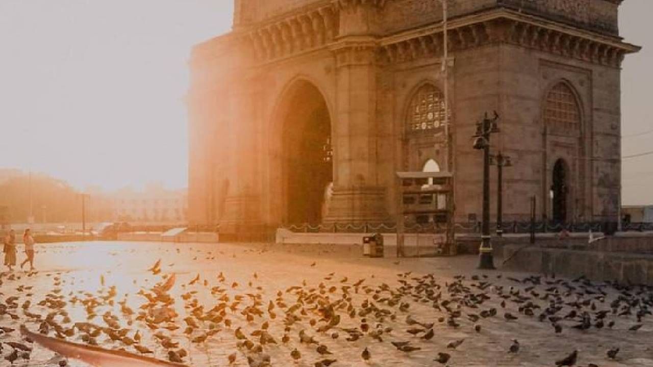 Mumbai: পায়রা উড়বে না আর গেটওয়ে-র আকাশে? মুম্বই থেকে উধাও কবুতরখানা!
