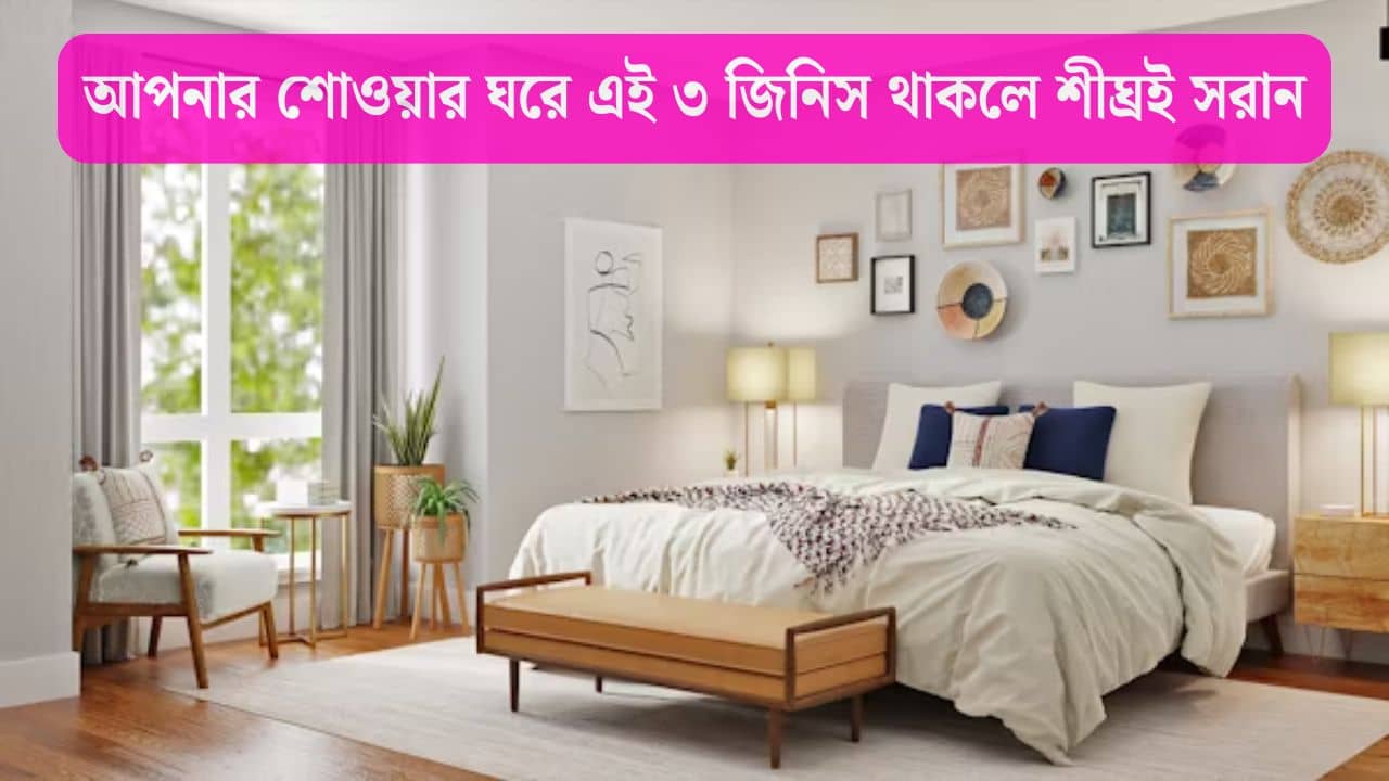 Bedroom Tips: বেডরুমে এই ৩ জিনিস পুরনো হলেই মহাবিপদ! শরীরের মারাত্মক ক্ষতি হতে পারে