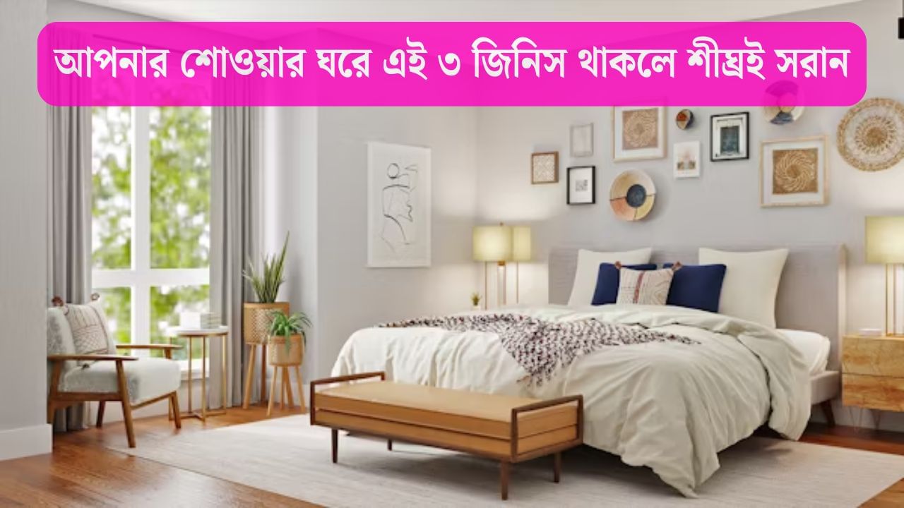 Bedroom Tips: বেডরুমে এই ৩ জিনিস পুরনো হলেই মহাবিপদ! শরীরের মারাত্মক ক্ষতি হতে পারে Bedroom Tips: বেডরুমে এই ৩ জিনিস পুরনো হলেই মহাবিপদ! শরীরের মারাত্মক ক্ষতি হতে পারে
