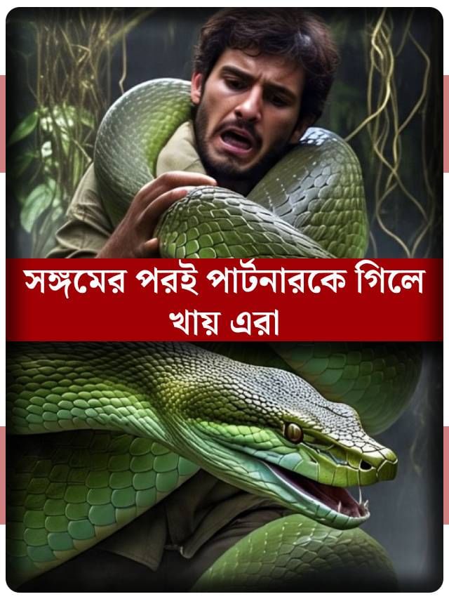 মিলনের পরই গিলে খায় পুরুষ সঙ্গীকে! আপনার আশেপাশেই আছে সেই সব ভয়ানক স্ত্রী