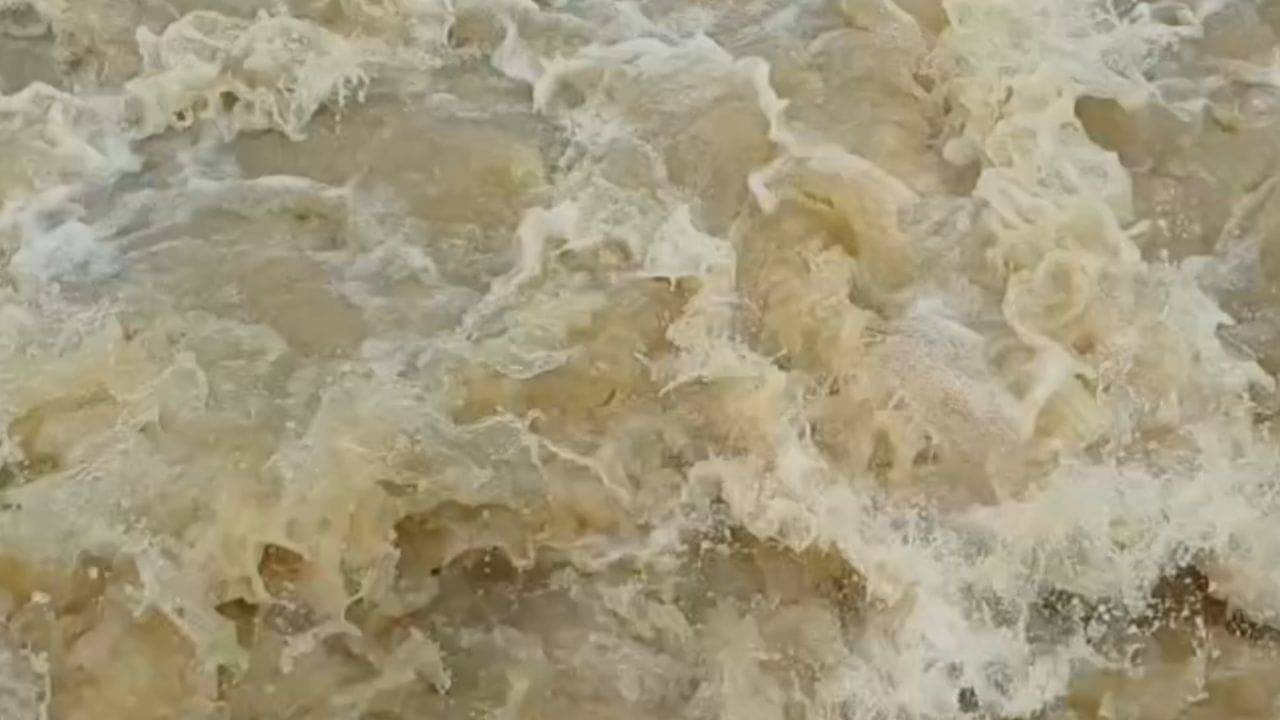 Purulia: টানা বৃষ্টি, মাটির বাড়ি ভেঙে মৃত ৩, আহত আরও ৩