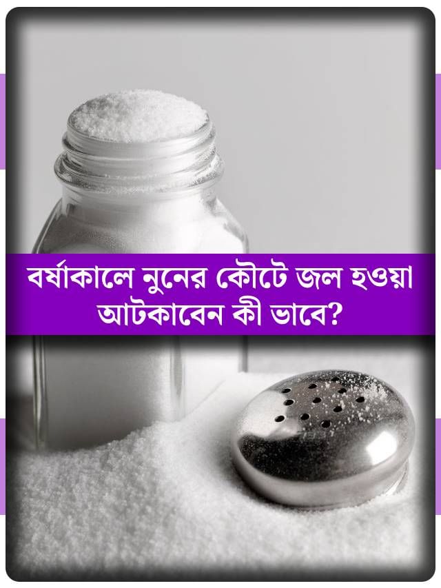 বারবার জল হয়ে যাচ্ছে নুনের কৌটে? এই সময়ে কী করলে মিটবে সমস্যা? বারবার জল হয়ে যাচ্ছে নুনের কৌটে? এই সময়ে কী করলে মিটবে সমস্যা?