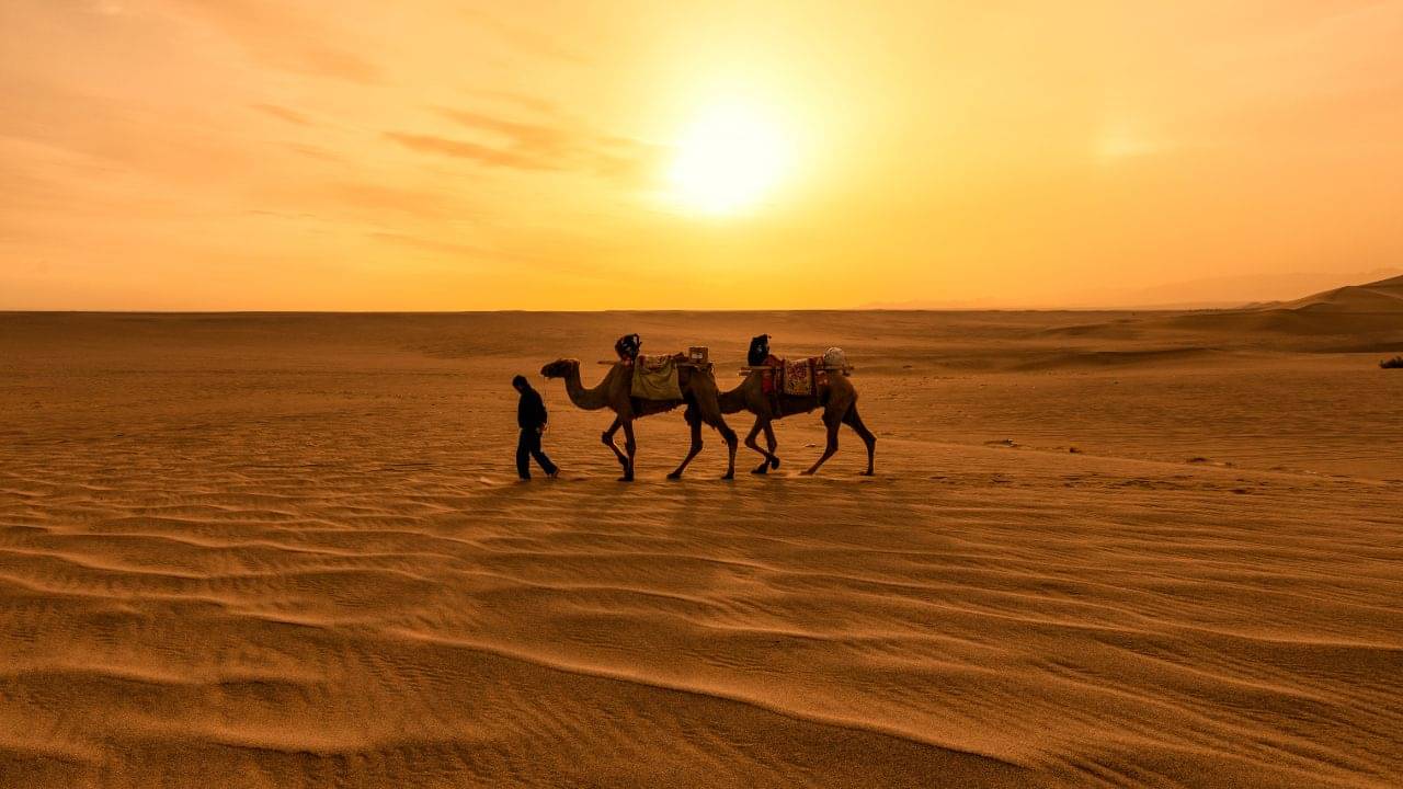 দেশে বালির অভাব নেই, তারপরও বাইরে থেকে বালি কিনতে হয় Saudi Arabia-কে! কেন?
