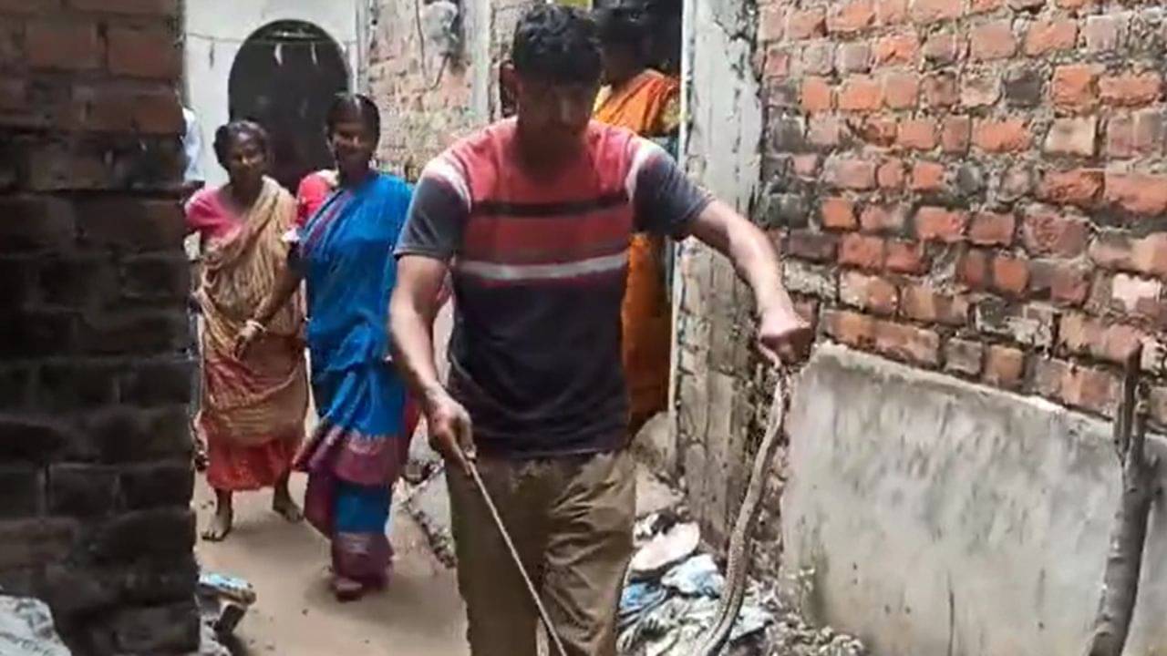 CPIM: সাপ ধরছেন সিপিএম নেতা!