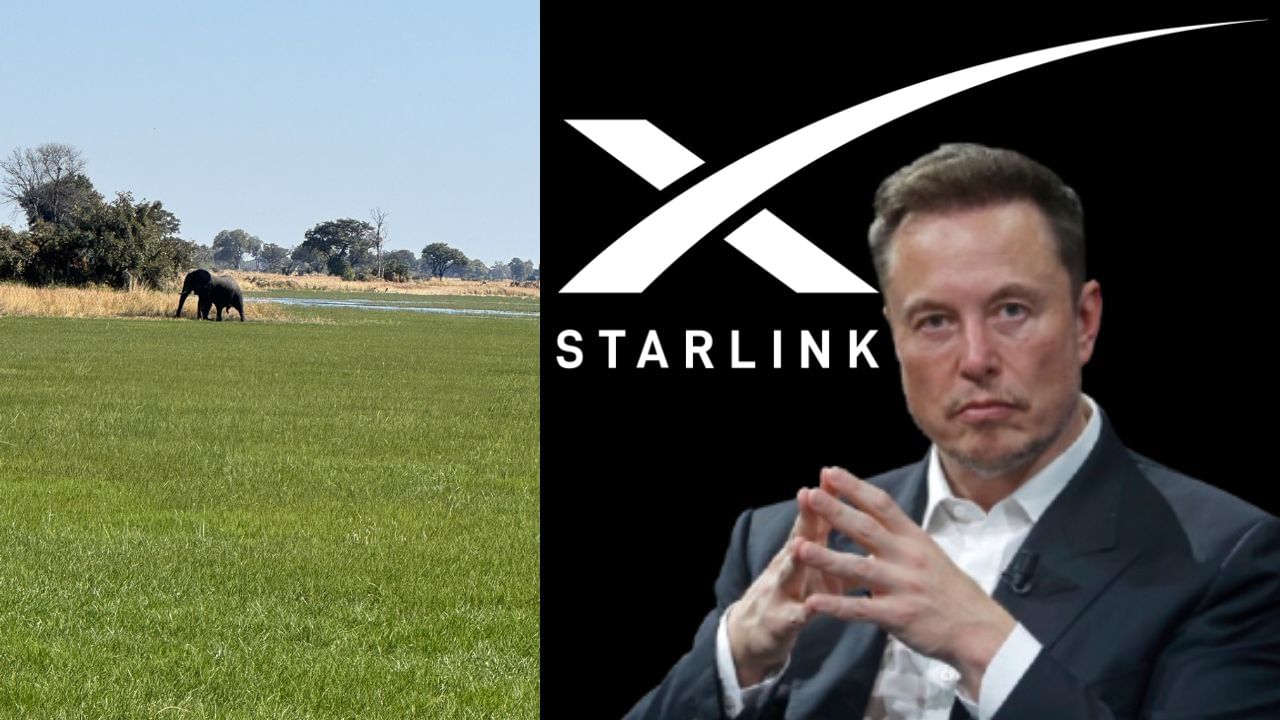 ইন্টারনেট এবার সবার জন্য, পৃথিবীর সবচেয়ে প্রত্যন্ত এলাকায় পৌঁছে গিয়েছে Elon Musk-এর Starlink! ইন্টারনেট এবার সবার জন্য, পৃথিবীর সবচেয়ে প্রত্যন্ত এলাকায় পৌঁছে গিয়েছে Elon Musk-এর Starlink!