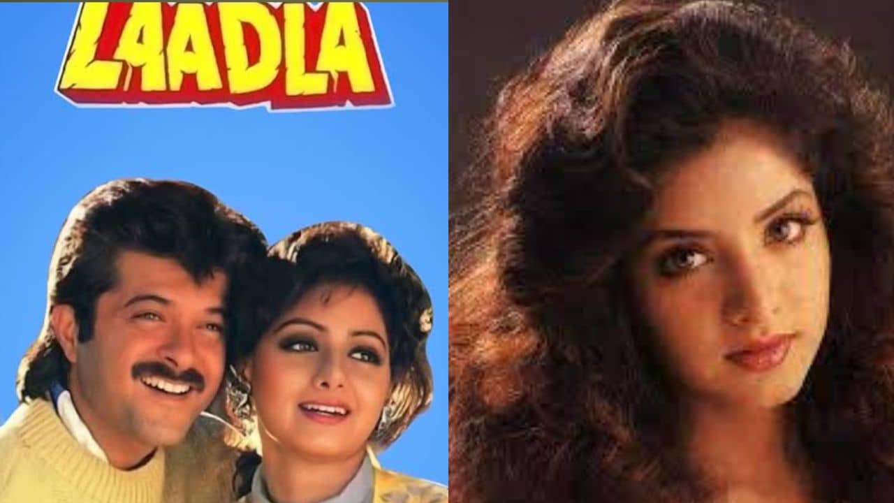 লাডলা ছবির সেটে ঘুরত দিব্যা ভারতীর আত্মা? রবিনার দাবি শিউরে ওঠার মতো