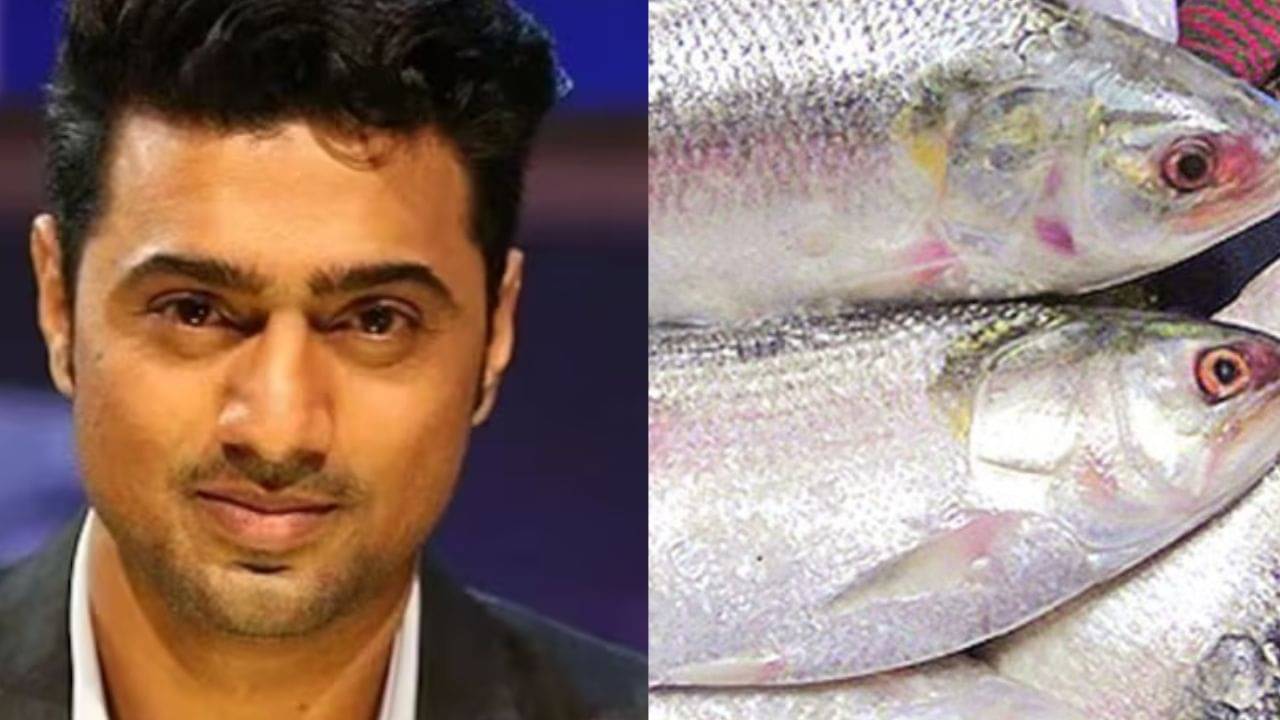 আলু, ইলিশ মাছের দাম জানেন কি মেগাস্টার দেব?