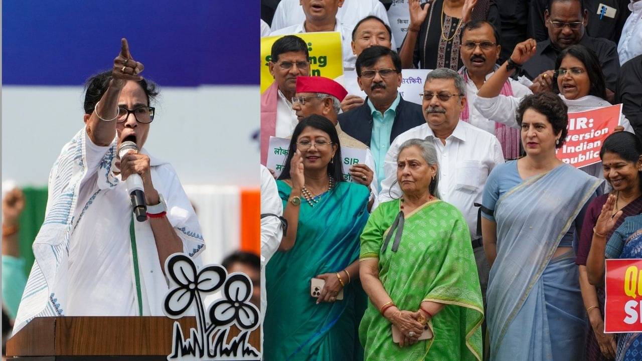 TMC: বিহারে ভোট বয়কটের হুমকি দিচ্ছেন তেজস্বী, বাংলায় SIR হলে কোন পথে হাঁটবে তৃণমূল?