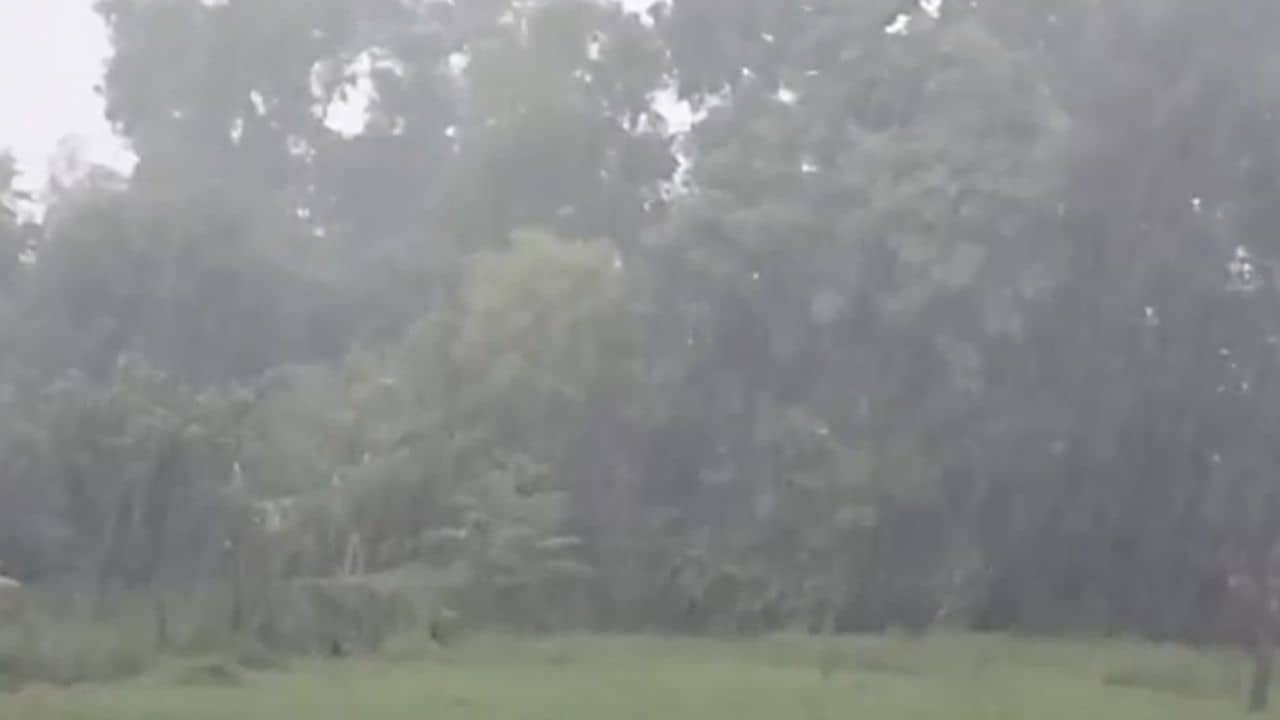 Hooghly: মাঠে গরু চড়াতে গিয়েছিলেন, বাজ পড়ে মৃত্যু মহিলার