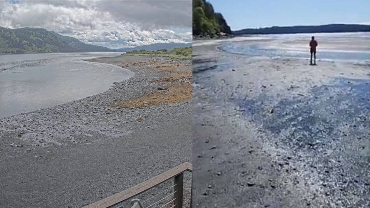 Earthquake: হু হু করে পিছিয়ে যাচ্ছে সমুদ্র, ৭ মাত্রার জোরাল ভূমিকম্পে কাঁপল সবকিছু, ধেয়ে আসছে সুনামি!