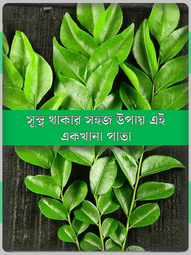 মাথার চুল থেকে পায়ের নখ, সব থাকবে টিপটপ! শুধু খেতে হবে এই পাতা মাথার চুল থেকে পায়ের নখ, সব থাকবে টিপটপ! শুধু খেতে হবে এই পাতা
