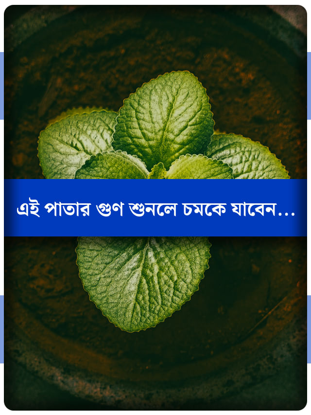 কমায় ওজন, বাড়ায় ইমিউনিটি, এই ব্রাত্য পাতা অনেক রোগের মহৌষধ! কমায় ওজন, বাড়ায় ইমিউনিটি, এই ব্রাত্য পাতা অনেক রোগের মহৌষধ!