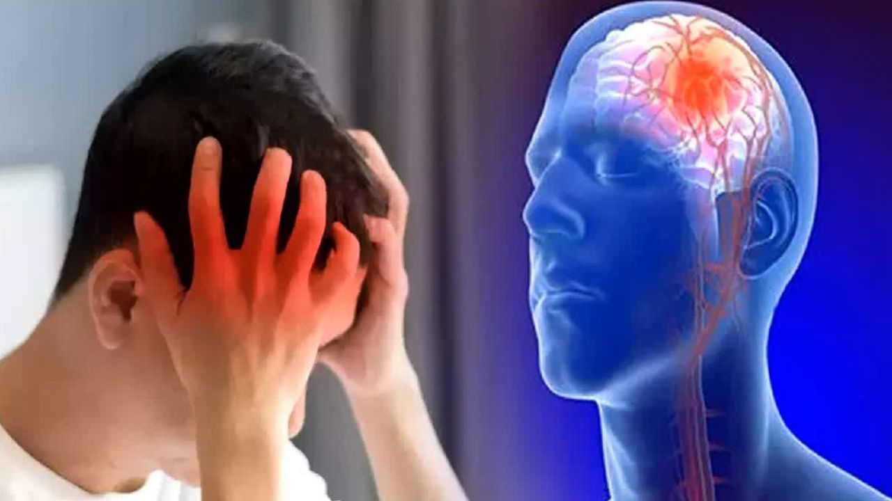 Brain Tumor Signs: মাথাব্যথা থেকে জীবনে সামান্য পরিবর্তন হতে পারে ব্রেন টিউমারের লক্ষণ! সচেতন হবেন কখন? Brain Tumor Signs: মাথাব্যথা থেকে জীবনে সামান্য পরিবর্তন হতে পারে ব্রেন টিউমারের লক্ষণ! সচেতন হবেন কখন?