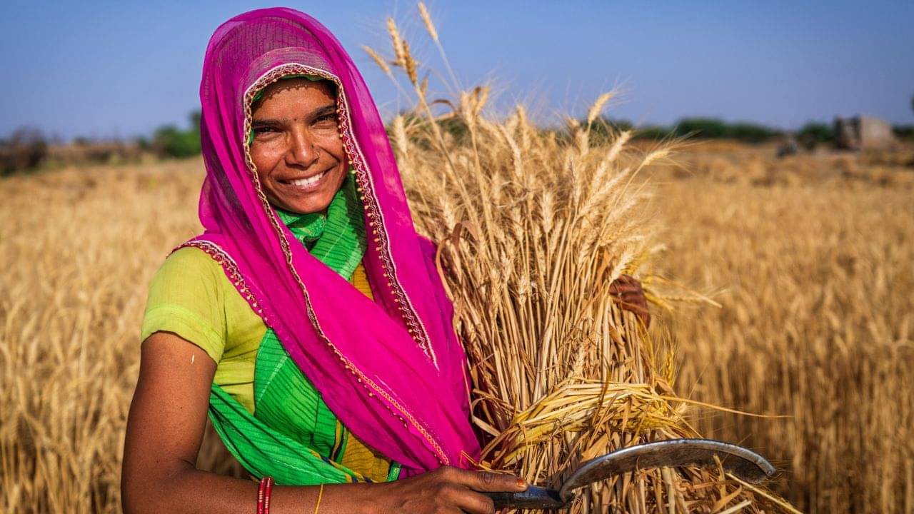 PM Dhan Dhanya Krishi Yojana: খুঁজে খুঁজে দেওয়া হবে টাকা, বুধেই কৃষকদের জন্য বড় পদক্ষেপ মন্ত্রিসভার