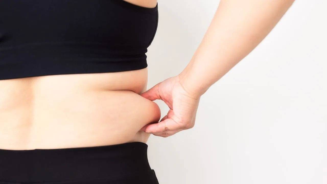 Vaastu Tips: আলস্য বা রোগ নয়, বাস্তু বলছে আপনার স্থূলতার আসল কারণ এটি! জানুন প্রতিকার