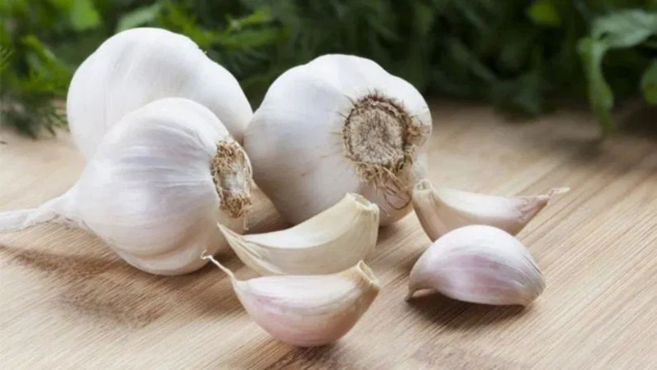 কিছু অভ্যাস আপাত দৃষ্টিতে সাধারণ মনে হলেও প্রতিদিনের জীবনযাপনে বড় প্রভাব ফেলে। যেমন ধরুন অনেকেই প্রতিদিন খাওয়ার সঙ্গে এক কোয়া বা দু কোয়া রসুন খান। প্রতিদিন কাঁচা রসুন খাওয়ার এই অভ্যাস ভাল না খারাপ? কোন সময়ে রসুন খাওয়া উচিত? খালি পেটে, রান্নার সঙ্গে নাকি কাঁচা? রসুন খেলে কী হয়?