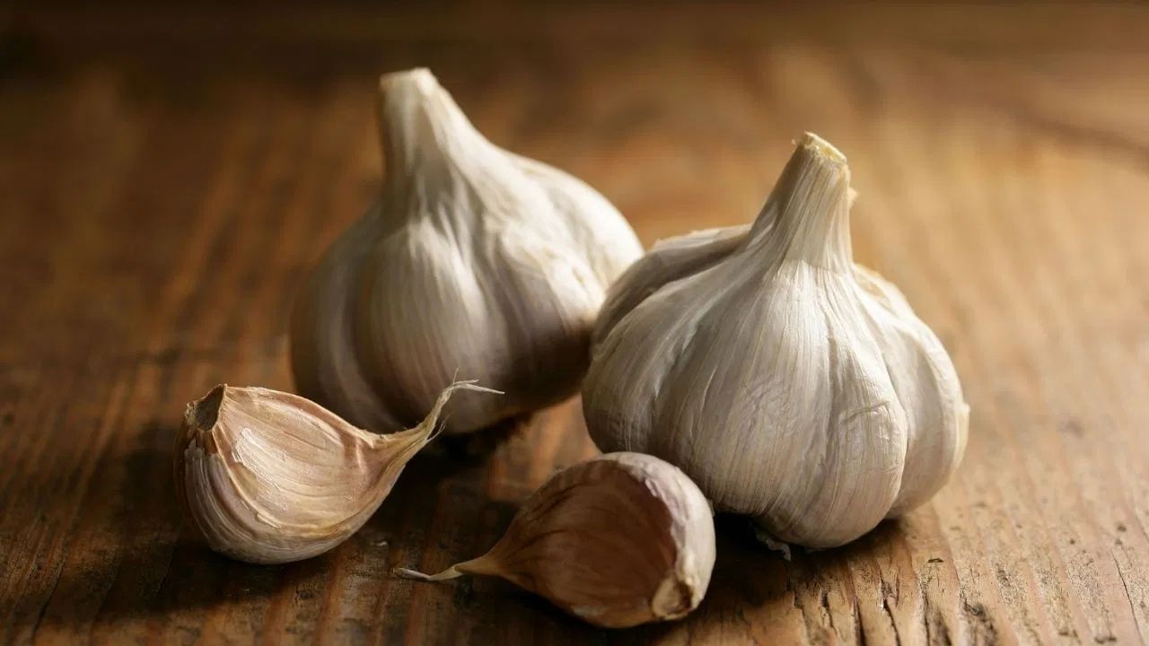 ১. রোগ প্রতিরোধ ক্ষমতা বাড়ায় - রসুনে অ্যালিসিন (Allicin)-এর মতো উপাদান থাকে, যা অ্যান্টিমাইক্রোবিয়াল, অ্যান্টিভাইরাল ও অ্যান্টিফাঙ্গাল গুণসম্পন্ন। নিয়মিত খেলে সর্দি-কাশি, ফ্লু এবং ছোটখাটো সংক্রমণের বিরুদ্ধে শরীরকে সুরক্ষা দেয়।