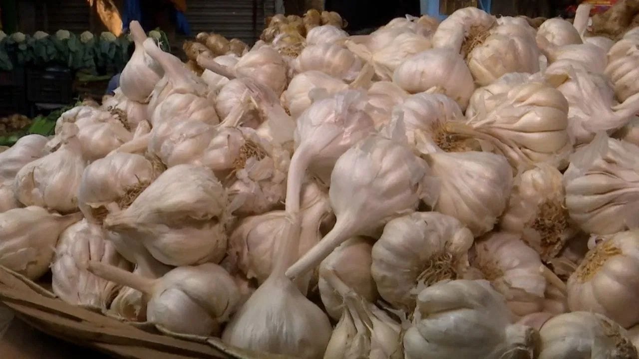 রসুন খেলে শরীরের তাপমাত্রাও বৃদ্ধি পায়। তাই শীত প্রধান অঞ্চলে যাঁদের বাস তাঁদের জন্য উপকারী হতে পারে রসুন। অসুবিধা হলে চিকিৎসকের পরামর্শ নিন।