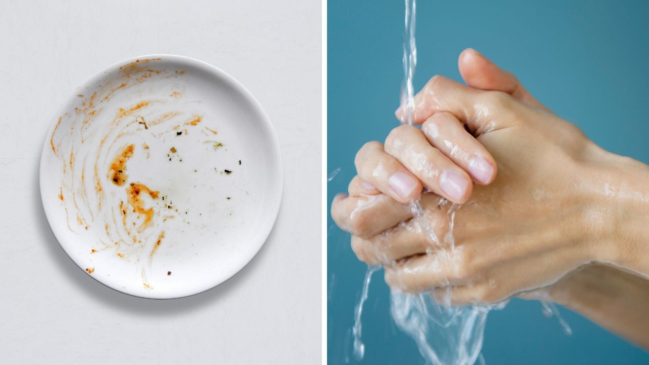 Astrology Tips: খাবার খাওয়ার পর সেই থালাতেই হাত ধোওয়া শুভ না অশুভ? জ্যোতিষশাস্ত্র বলছে... Astrology Tips: খাবার খাওয়ার পর সেই থালাতেই হাত ধোওয়া শুভ না অশুভ? জ্যোতিষশাস্ত্র বলছে...