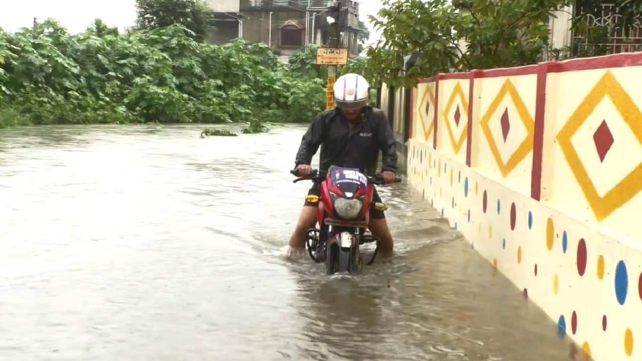 Flood Situation: বৃষ্টি গতি বাড়াতেই ফের বানভাসী, গৃহবন্দি একাধিক পরিবার! তৃণমূলকে কাঠগড়ায় তুলছে বিজেপি