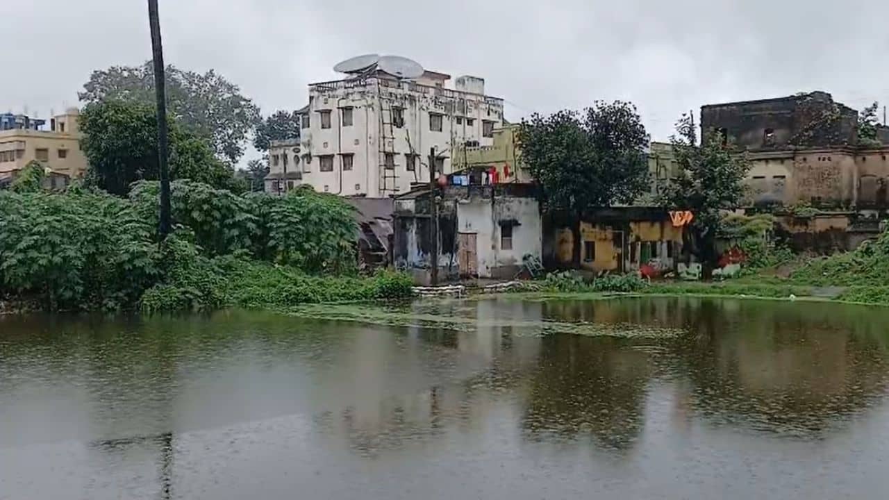 Bankura: আবারও প্লাবনের আশঙ্কা, জলের তলায় রাজ্য সড়ক-সেতু!