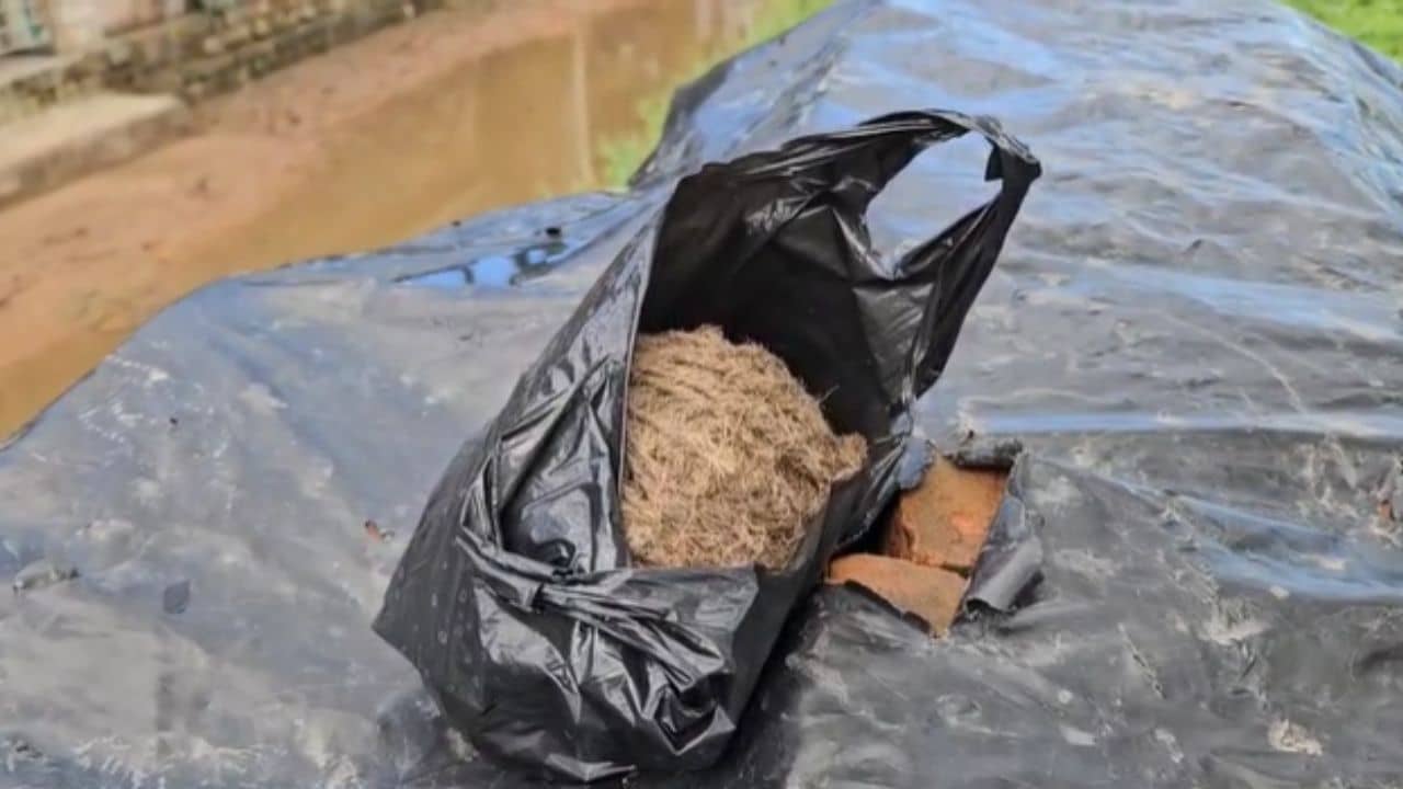 Basirhat: বাড়ির গেটে ঝুলানো তরতাজা বোমা, স্বাধীনতা দিবসে চক্ষু চড়কগাছ মহিলার