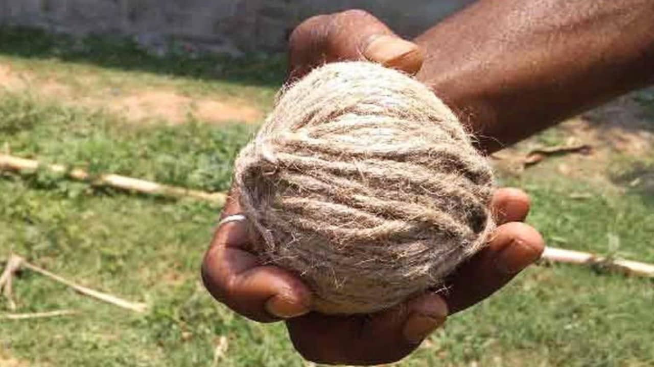 Birbhum: টার্গেট ছিল অন্য কেউ? বোমায় উড়ল যুবকের হাতের কব্জি