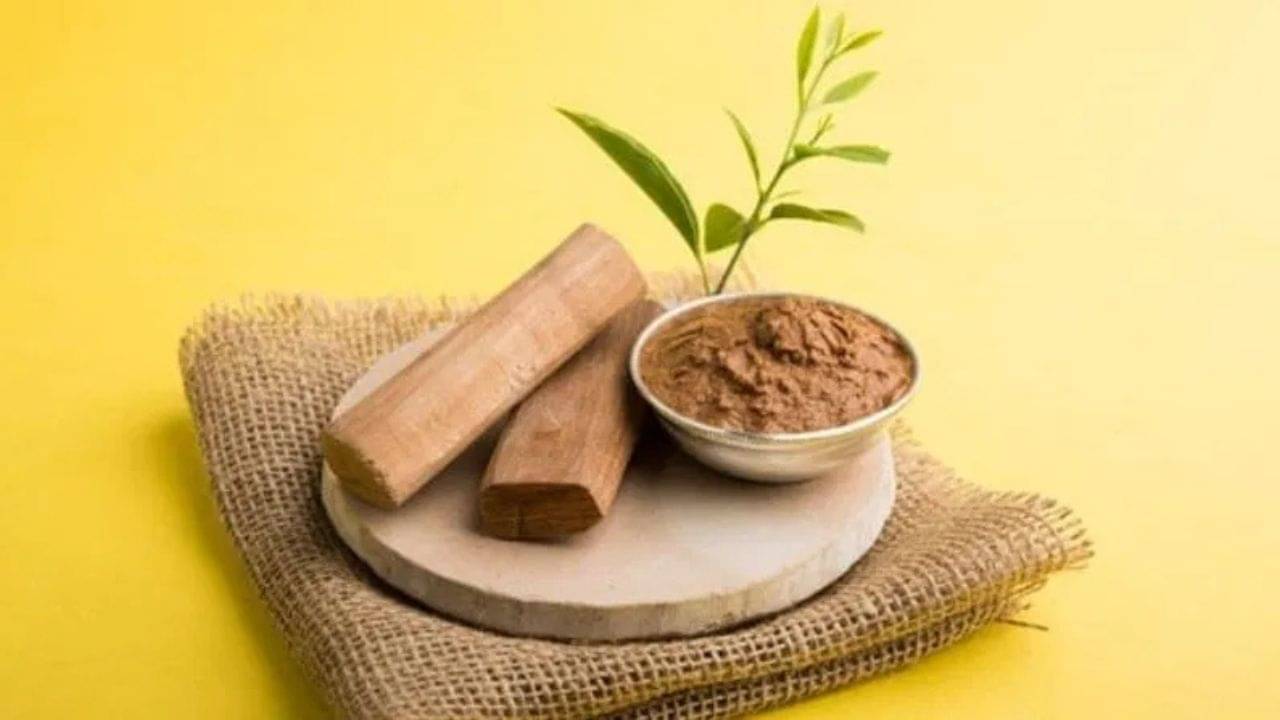 Chandan: কেবল ত্বকের যত্ন নয়, মানসিক শান্তি এনে দেয় চন্দন! জানুন কীভাবে?